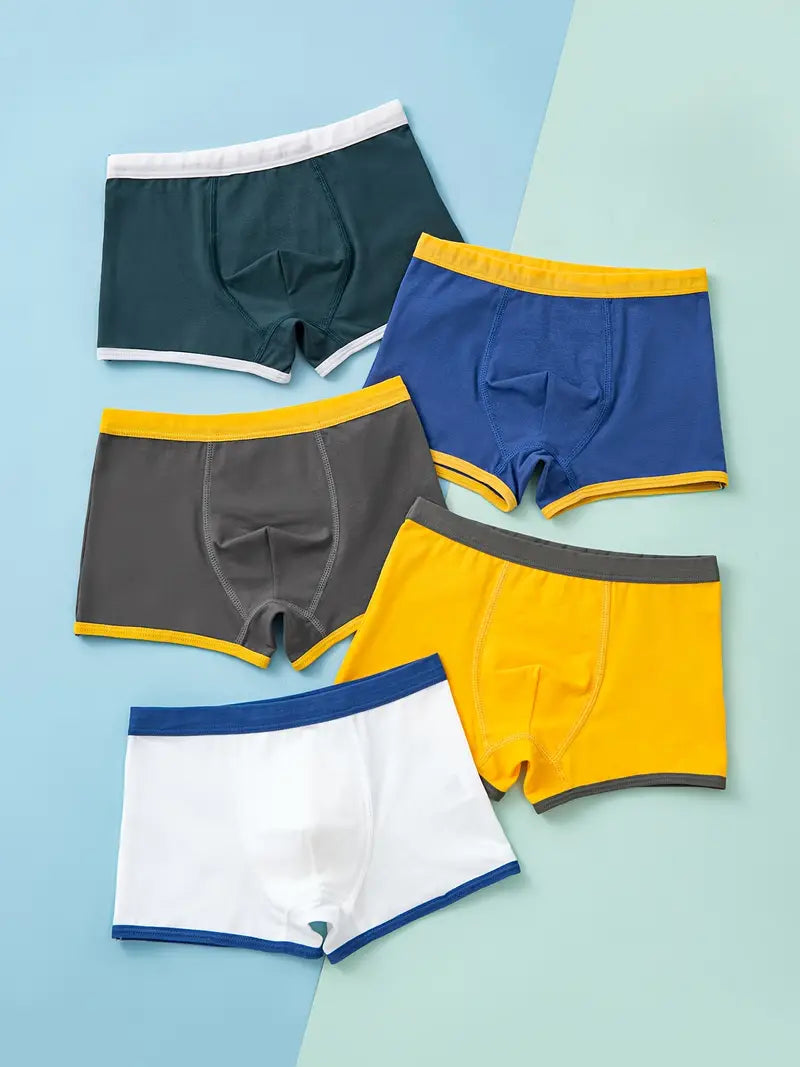 Dinosaur Boxer Briefs (Pack of 5)