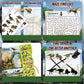 Interactive Dinosaur Study Book