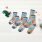 Little Dino Socks