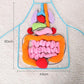 Anatomy Apron